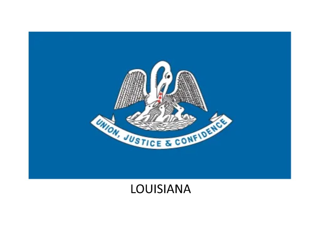 Louisiana Staff Leasing Agency Changes to Licenses