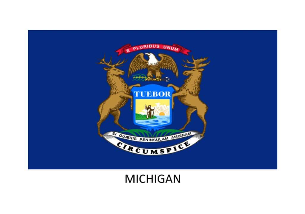 Michigan Staff Leasing Agency Changes to Lender License